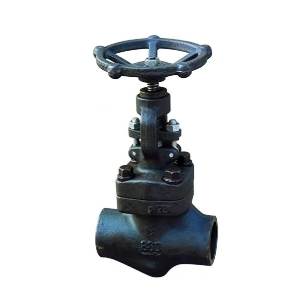 Forged Steel Globe Valve - Image 3